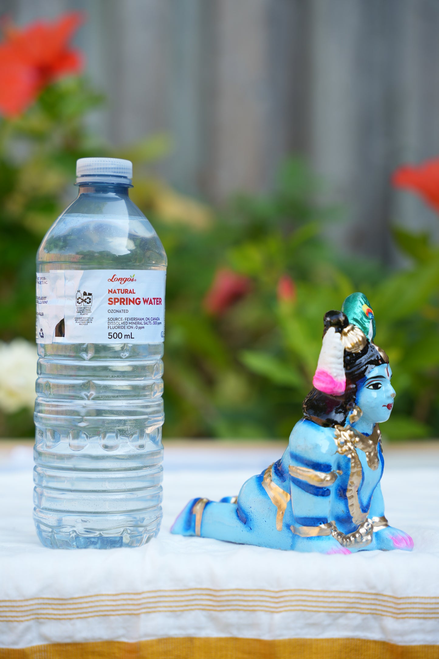 Krishna Crawling