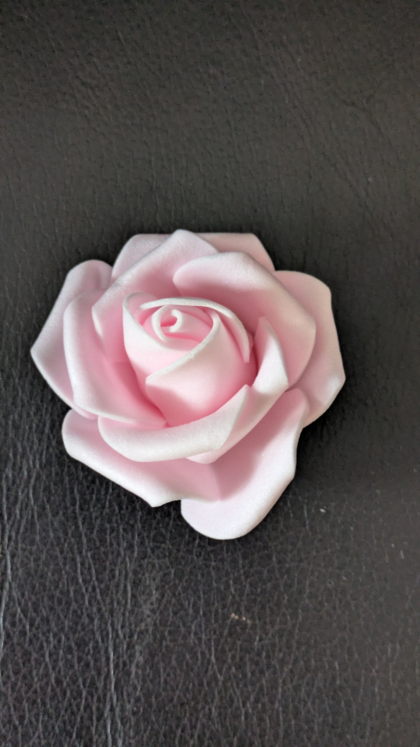 Pink Rose